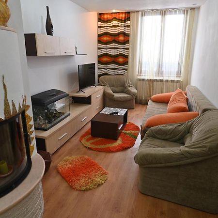 Apartament Camelia Petrosani Bagian luar foto