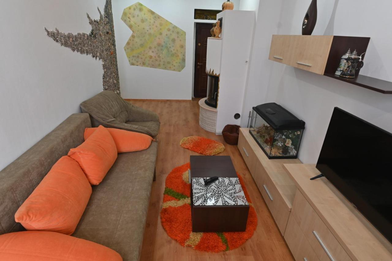 Apartament Camelia Petrosani Bagian luar foto