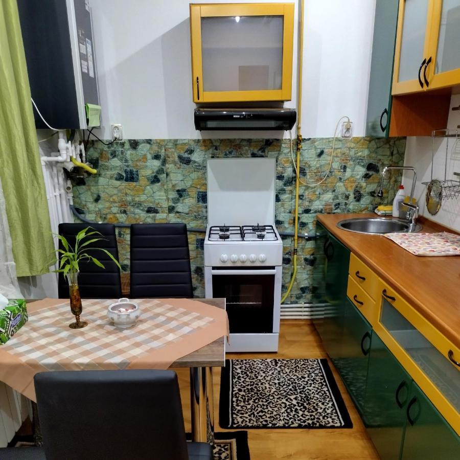 Apartament Camelia Petrosani Bagian luar foto