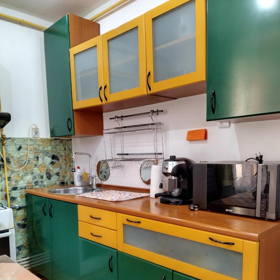 Apartament Camelia Petrosani Bagian luar foto