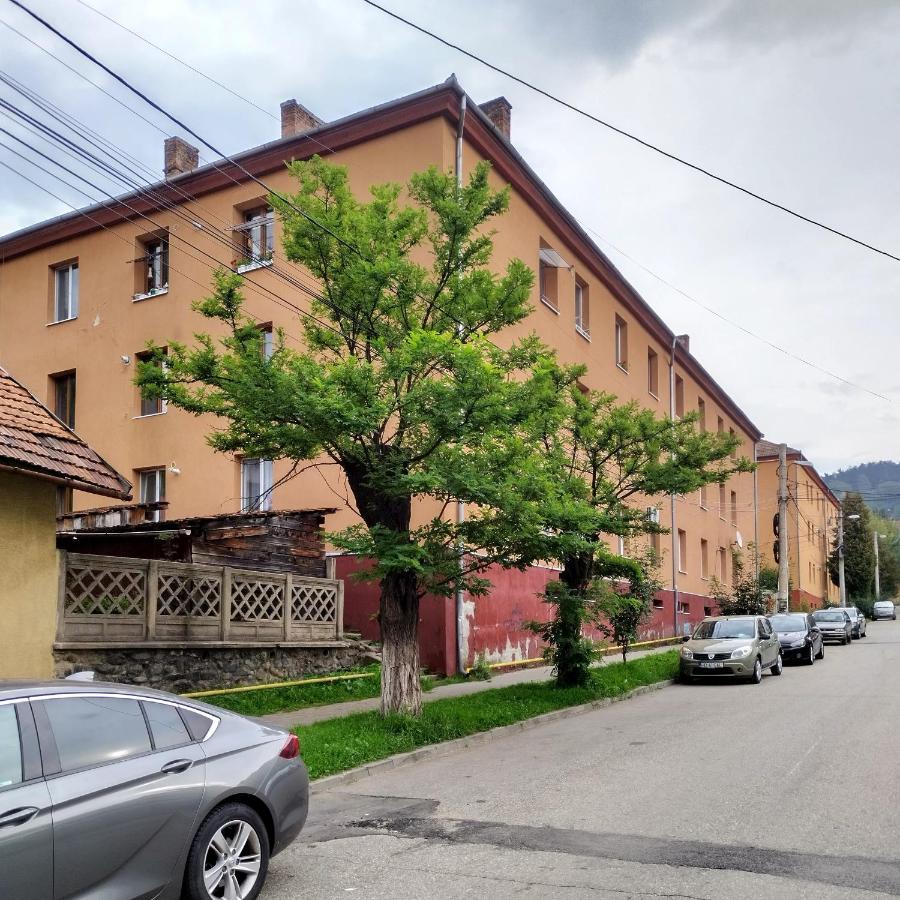 Apartament Camelia Petrosani Bagian luar foto
