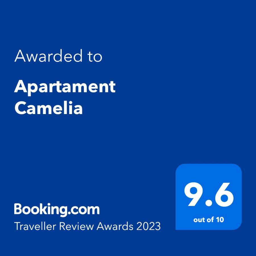 Apartament Camelia Petrosani Bagian luar foto
